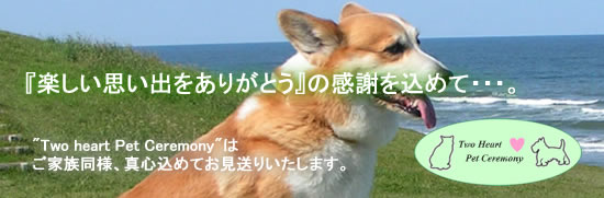 『楽しい思い出をありがとう』の感謝を込めて・・・。東京・埼玉でのペット葬儀・ペット火葬のトゥハート・ペットセレモニー常総営業所