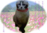 储 ybgVF2009N1218 ʌ育˗